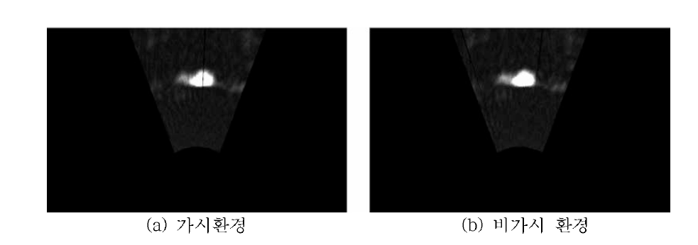 가시 및 비가시 환경에서의 초음파 스캔 데이터 비교