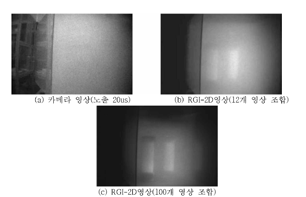 근접 비가시 상태에서 측정한 RGI-2D 영상