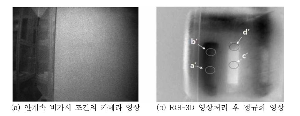 비가시 환경에서 근접 위치 물체에 대한 RGI-3D 영상측정 결과