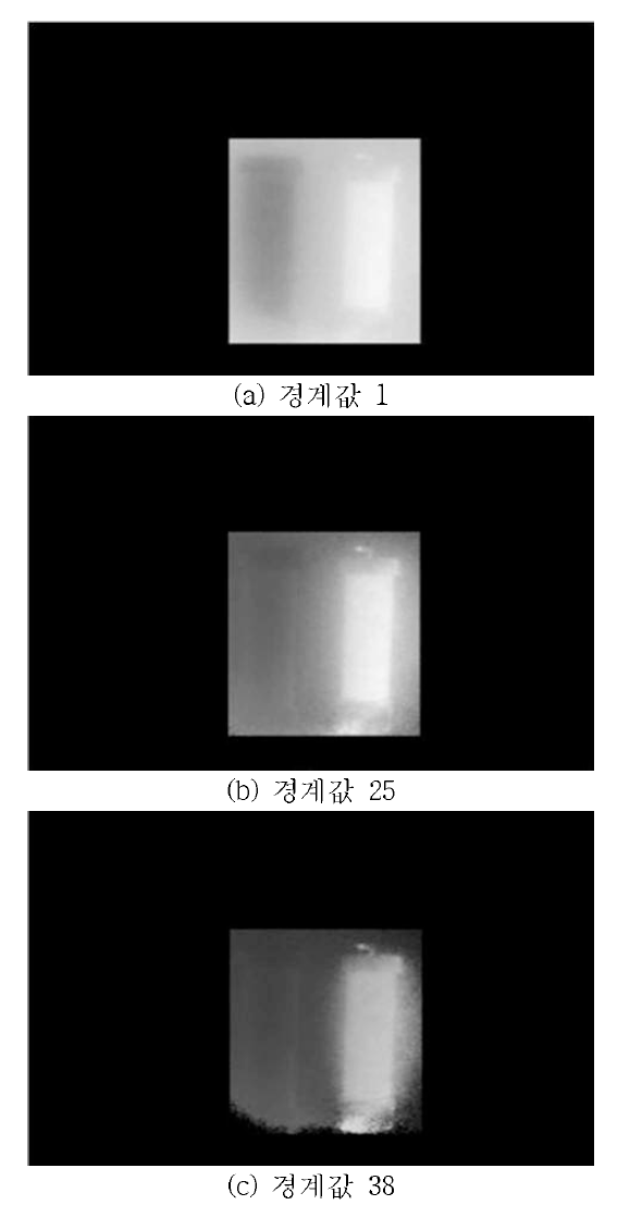 영역제한과 경계값 차를 이용한 RGI-3D 영상 측정 결과