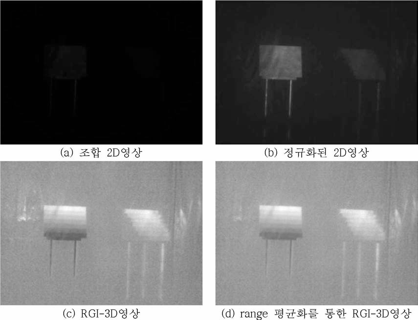 안개 속 6m 거리의 원거리 대상체에 대해 RGI-2D 및 RGI-3D 영상