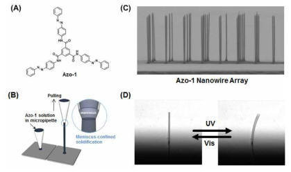 Meniscus-Guided 방법을 이용한 초분자 나노와이어 제조 및 액추에이터 응용.