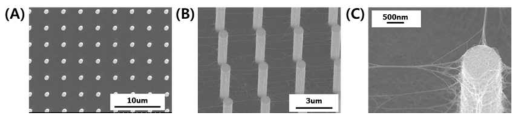 Pillar를 이용한 network 형태의 3차원 나노구조체 제조,