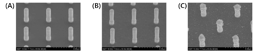 (A) 실리콘 웨이퍼 위에 만들어진 pillar 형태의 나노구조체, (B) 아민 개질을 진 행한 나노구조체, (C) PDA vesicle이 고정된 나노구조체.