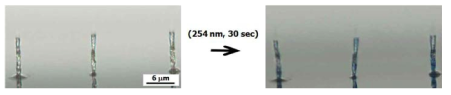 직접 성장법으로 만들어진 다이아세틸렌 나노와이어 어레이(왼쪽)와 광중합에 의한 청색의 폴리다이아세틸렌 나노와이어 어레이(오른쪽)