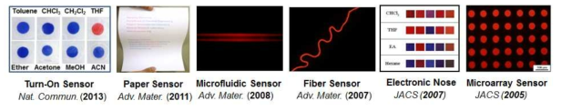 본 연구팀에서 개발한 다양한 종류의 폴리다이아세틸렌 센서.