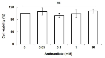 Anthranilate에 의한 세포 독성