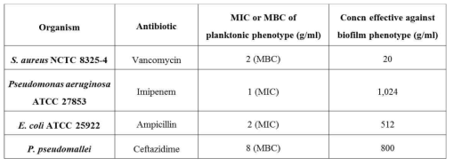 생물막과 부유 미생물에 대한 항생제 민감성 차이