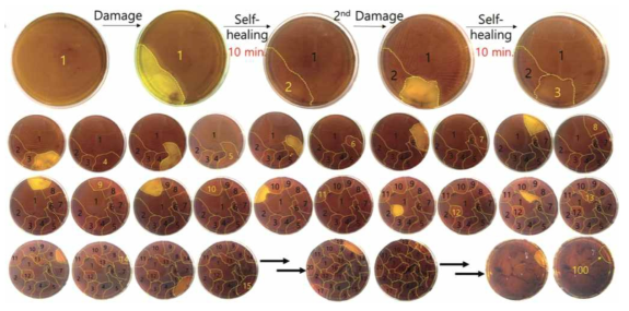 100번 self-sealing/self-healing되는 현상: 필름을 뜯어내도 다시 생성되며 (regeneration) 생성된 필름은 주위와 단단하게 sealing되어 (self-sealing), 결과적으로는 self-healing이 liquid/air인터페이스에서 일어남