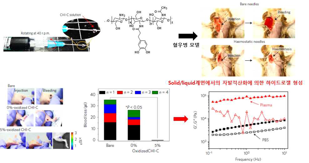 Solid (혈관)-Liquid (혈액)계면에서 형성되는 하이드로젤을 이용한, Self-sealing 무출혈 주사기 (위) 및 지혈기능성 확인. 하단 오른쪽의 그래프는 실제로 혈액에서 형성되는 하이드로젤의 유변학적 성질을 나타냄.