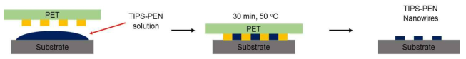 PUA 스탬프로부터 TIPS-PEN　Nanowire를 성장시키기 위한 소프트 리소그래피 공정 과정.