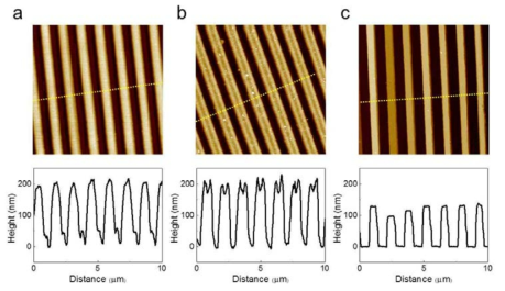 (a) CD, (b) PUA 스탬프 및 (c) TIPS-PEN 나노와이어의 AFM topographies 및 Height profiles.