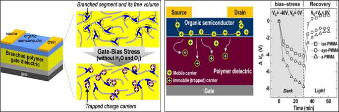 (좌)고분자 branched 구조에 따른 전하 trap. (우)고분자 절연체에 trap된 전하 모식도
