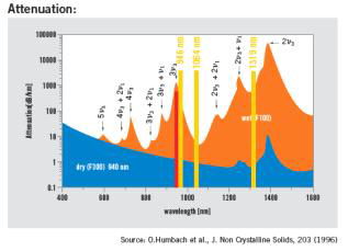 Attenuation spectra of wet(100) and dry(F300) silica core filbers