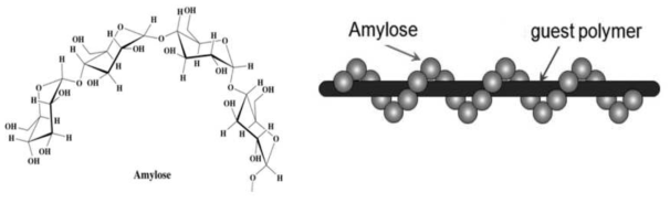Amylose complex with guest polymers