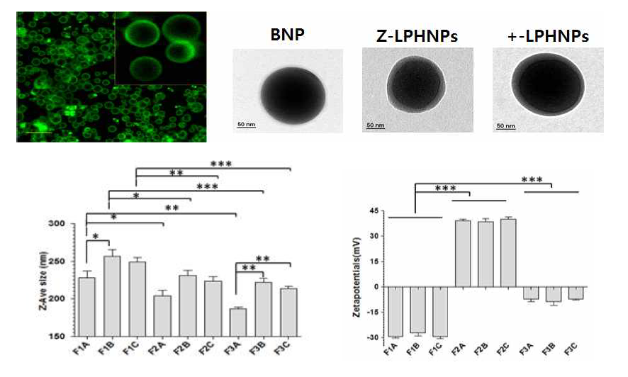 Physiochemical characterization of hybrid nanocarrier