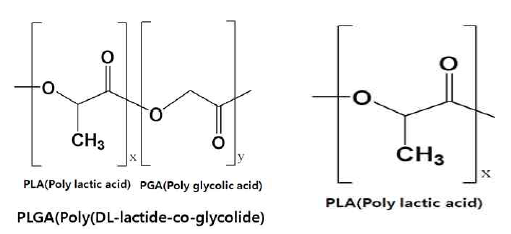 약물 코팅을 위해 사용되는 생분해성 고분자