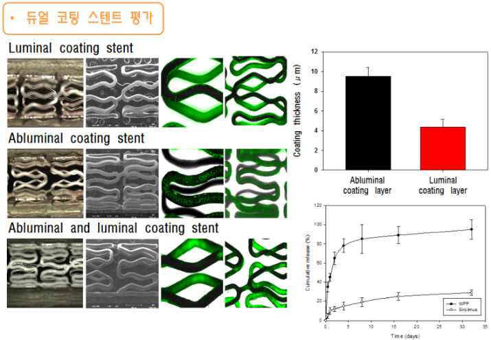 듀얼 코팅 스텐트의 SEM, 형광, 코팅두께, 방출 패턴 결과