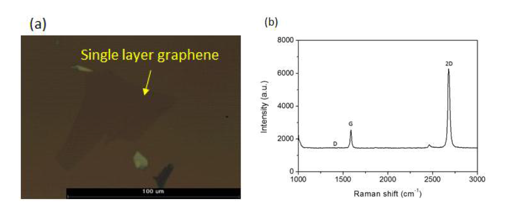 (a) 기계적 박리법을 통해 얻은 단일층 그래핀. (b) 그래핀의 라만 스펙트럼.