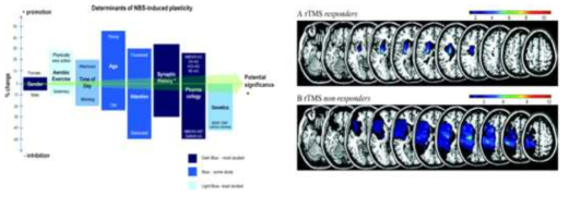 비침습적 뇌자극 효과에 미치는 영향 인자(왼쪽). 뇌병변에 따른 비침습 뇌자극 효과(오른쪽)