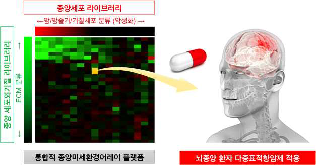 환자 종양 유래 기질세포의 종양 스페로이드 악성화 확인