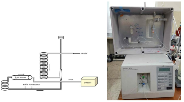 Schematic diagram of developed real-time H2O2analyzer