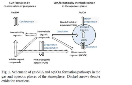 Schematic of gasSOA and aqSOA formation