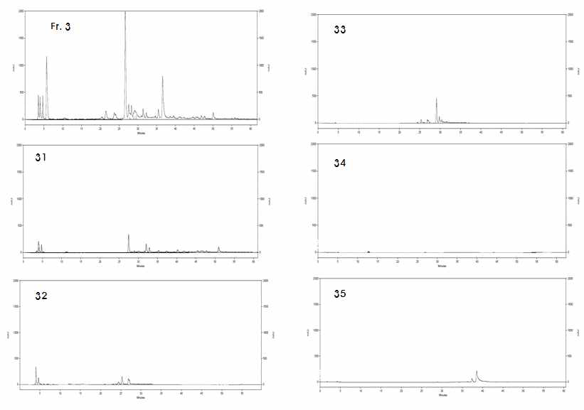 방사선 돌연변이 콩 #70 추출물의 Fraction #3 분획물 분리 결과