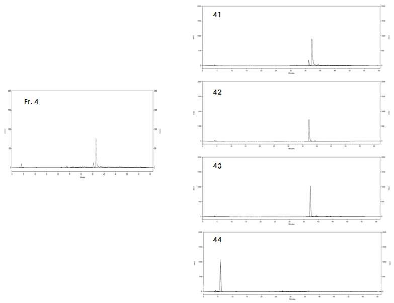 방사선 돌연변이 콩 #70 추출물의 Fraction #4 분획물 분리 결과