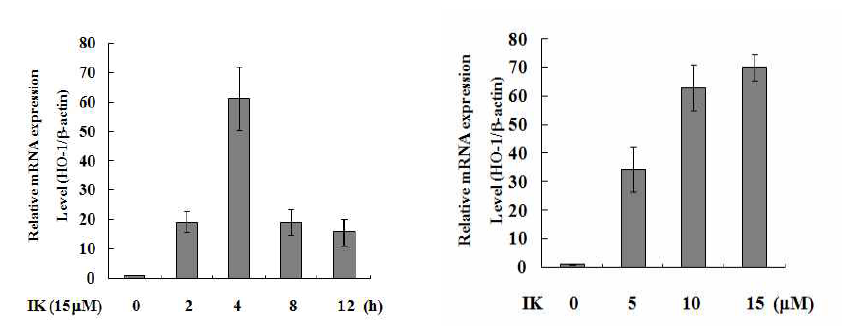 RAW264.7 세포에서 IK에 의한 HO-1 mRNA 발현 양상(real time PCR)