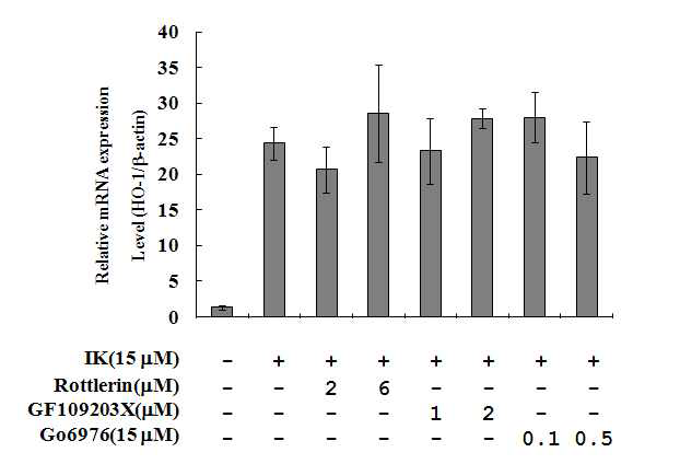 RAW264.7 세포에서 IK와 PKC inhibitors에 의한 HO-1 protein mRNA 발현양상(real time PCR)