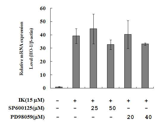 RAW264.7 세포에서 IK와 JNK, ERK inhibitors에 의한 HO-1 protein mRNA 발현 양상(real time PCR)