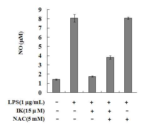 RAW264.7 세포에서 IK에 의한 NO 저해능에 NAC가 미치는 효과