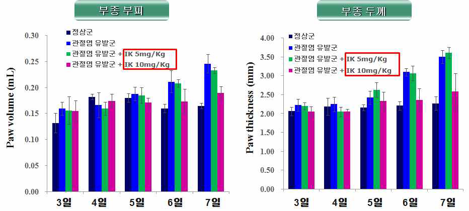 관절염 동물모델에서 IK 경구투여 후 부종의 부피와 두께 변화