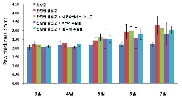 관절염 동물모델에서 추출물 경구 투여 후 부종 두께 변화