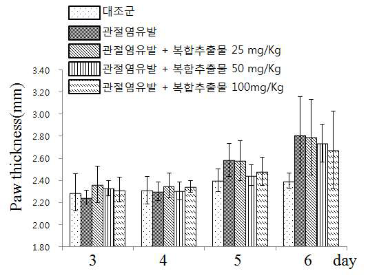 관절염 동물모델에서 복합추출물 경구 투여 후 부종두께 변화