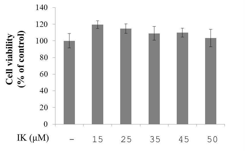 3T3-L1 세포에서의 농도별 IK 독성 평가