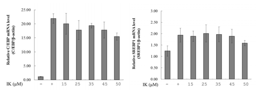 3T3-L1 세포에서 IK에 의한 C/EBP, SREBP1의 mRNA 발현양 비교