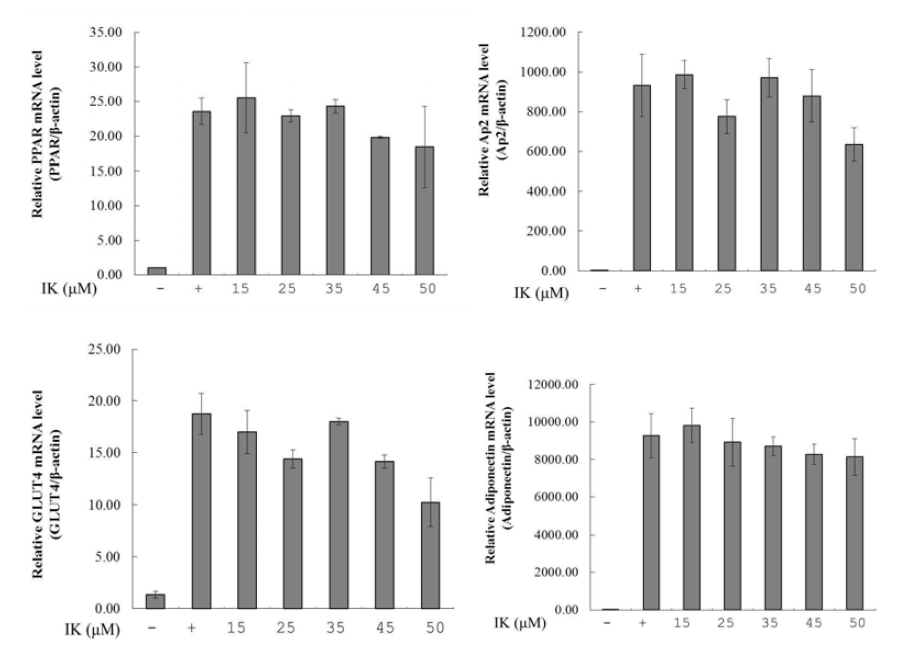 3T3-L1 세포에서 IK에 의한 PPAR, Ap2, GLUT4, Adiponection의 mRNA 발현양 비교