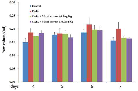 관절염 동물모델에서 초임계 복합 추출물이 부종 부피에 미치는 영향
