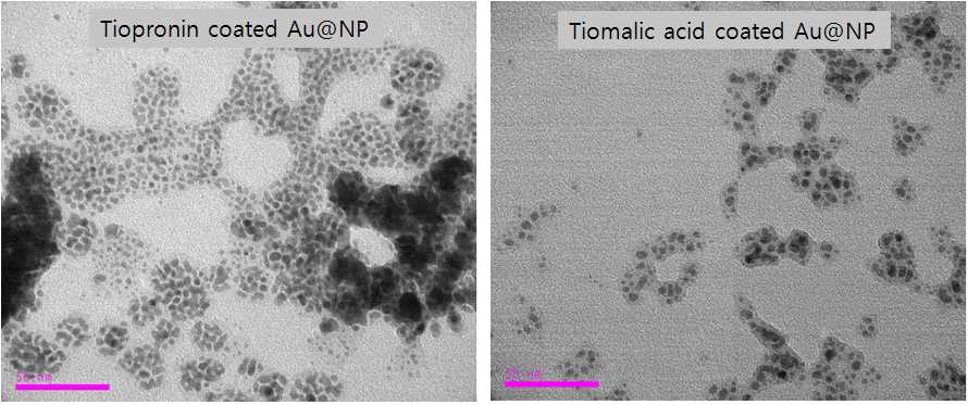 Bio-TEM 결과. Tiopronin coated Au@NP and Tiomalic acid coated Au@NP