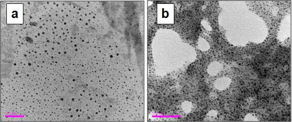 Bio-TEM. (a)=Tiopronin coated Au@NP and (b)=ED-Tiopronin coated Au@NP