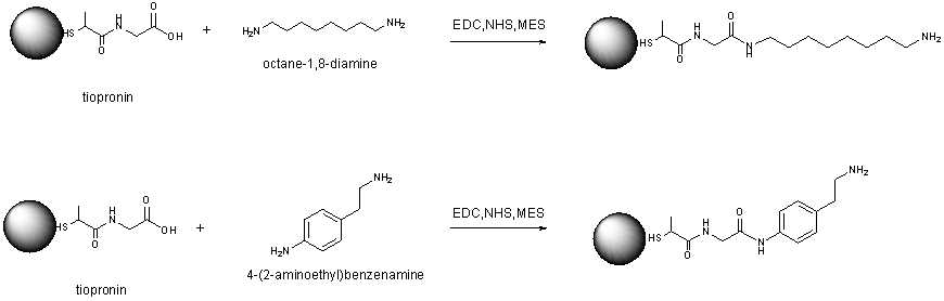 Synthesis scheme of diaminooctane, and aminoethylbenzeamine conjugation to TP-Au@NP.