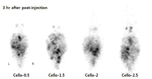 왼쪽부터 cello 0.5X-ED-TP-Au@NP, cello 1.5X-ED-TP-Au@NP, cello 2X-ED-TP-Au@NP, cello 2.5X-ED-TP-Au@NP.