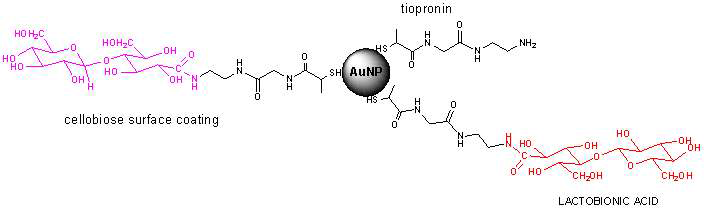 Structure of lactobionic acid (LA) conjugated cello 2.5X-ED-TP-Au@NP.