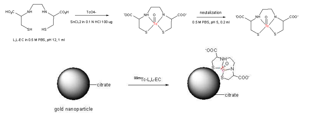 LL-EC이용한 골드 표지 scheme.