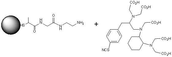 NCS-DTPA를 이용한 골드 conjugation scheme.