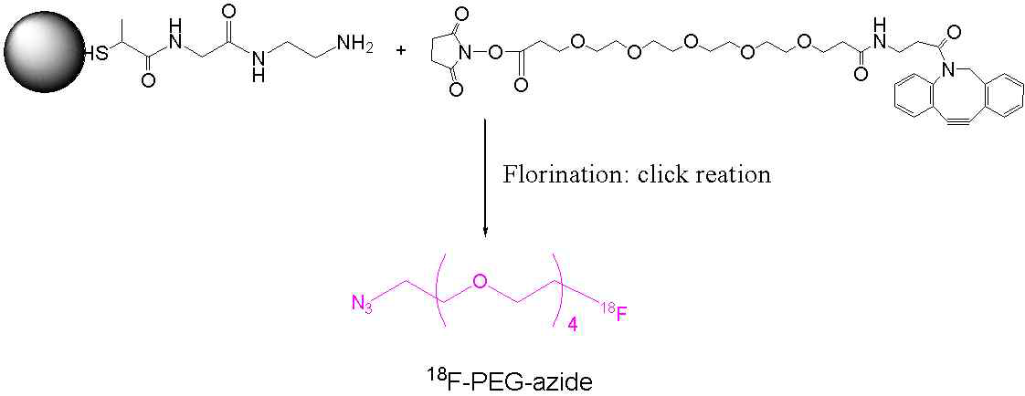 ED-TP-Au@NP와 Succinimidyl-PEG-cyclooctyne conjugation and radiolabeling scheme