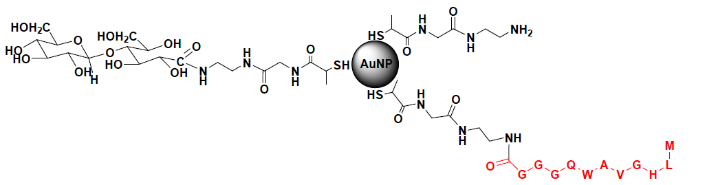 Scheme of BBN-cellobiose-ethylenediamine-tiopronin-Au@NP.