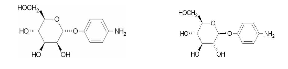 Mannosylation에 사용된 p-aminophenyl-α-D-mannopyranoside와 구조적 이성체인 4-aminophenyl-β-D-glucopyranoside